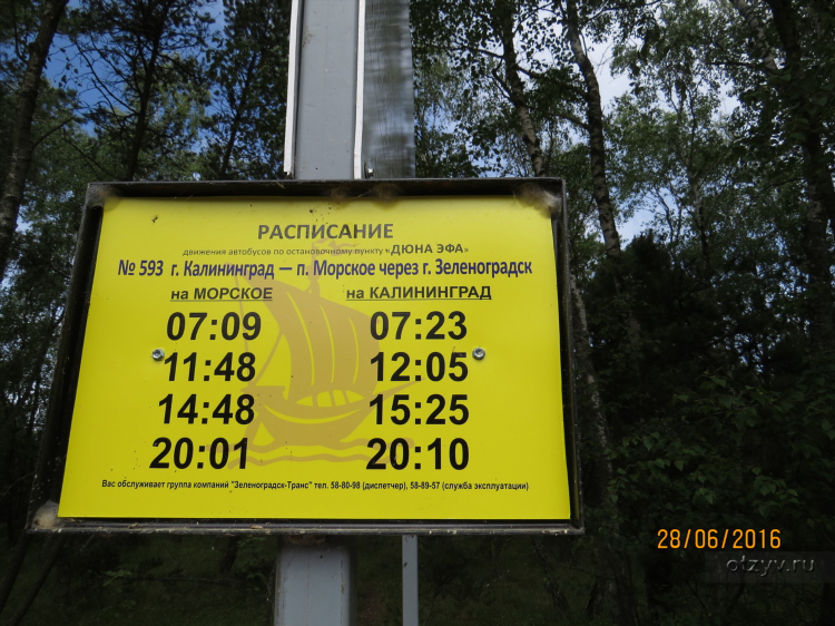 114 автобус калининград зеленоградск