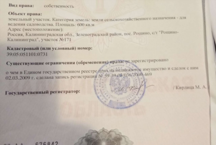 6 соток калининград