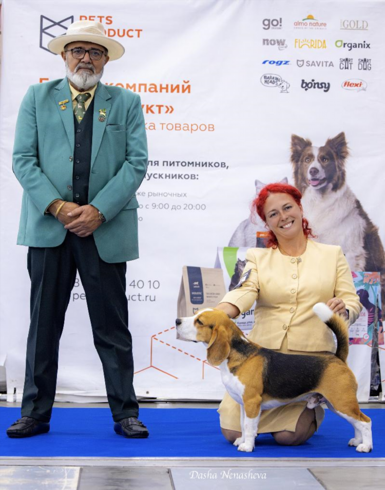 Ай платинум калининград