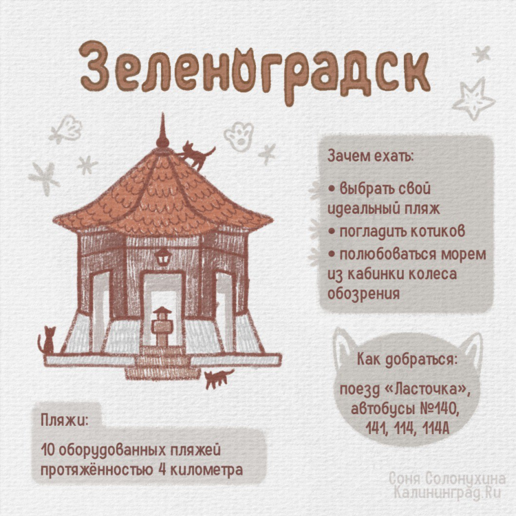 Аренда беседки калининград