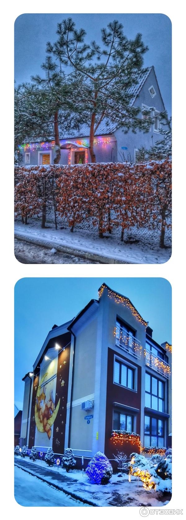 Аруна калининград