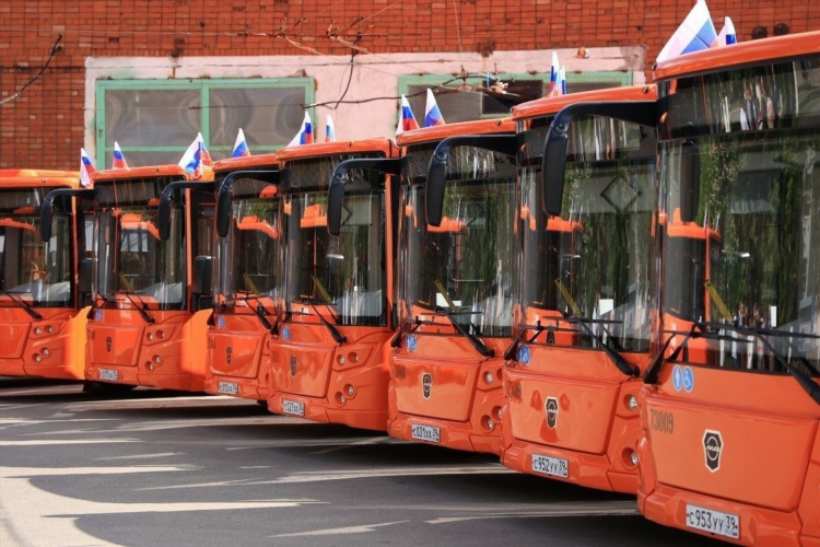 Автобусы онлайн калининград 8