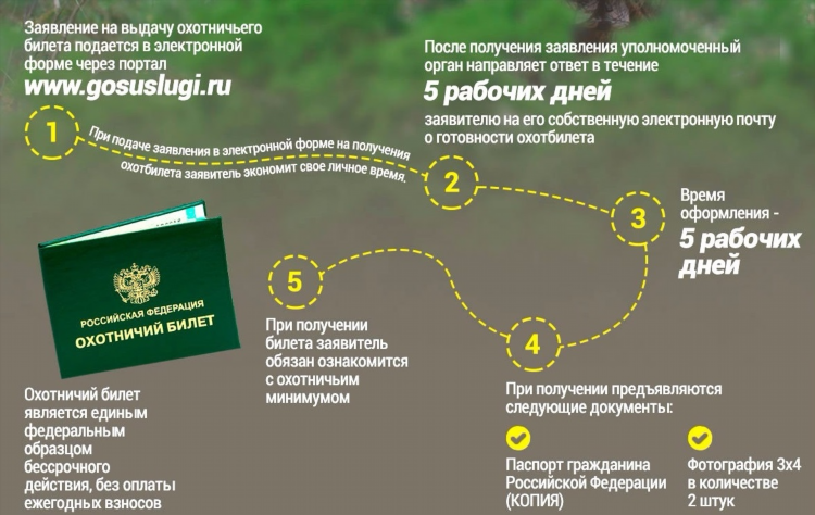 Билет мурманск калининград