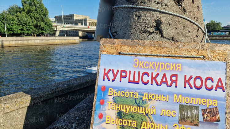 Что посмотреть в калининграде отзывы