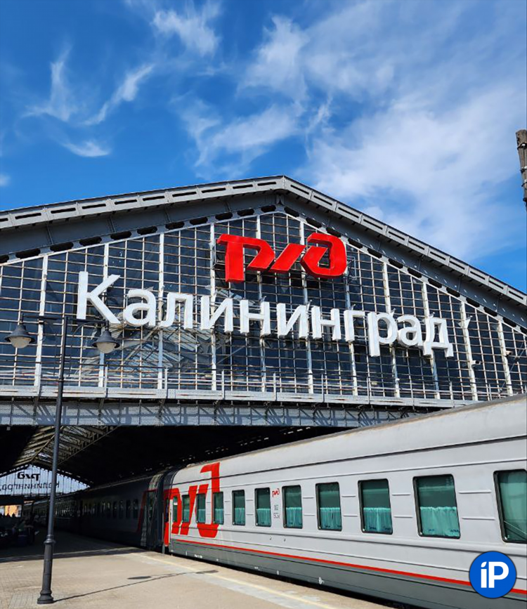 Домашний калининград