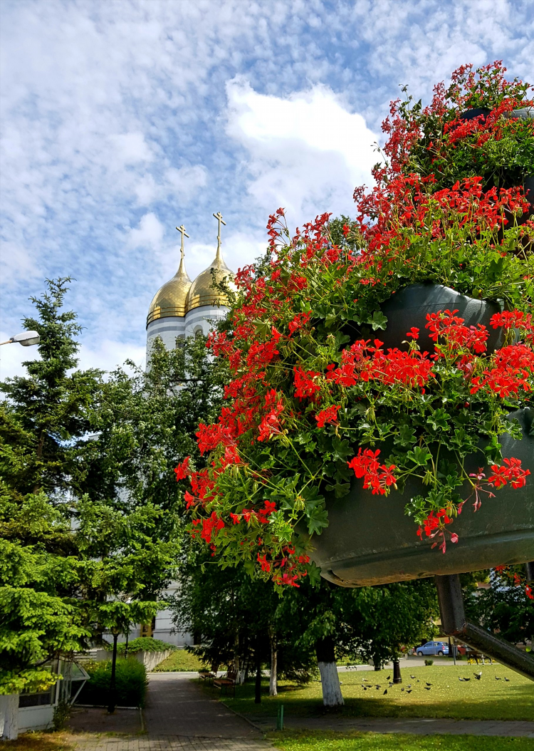 Экспресс офис калининград