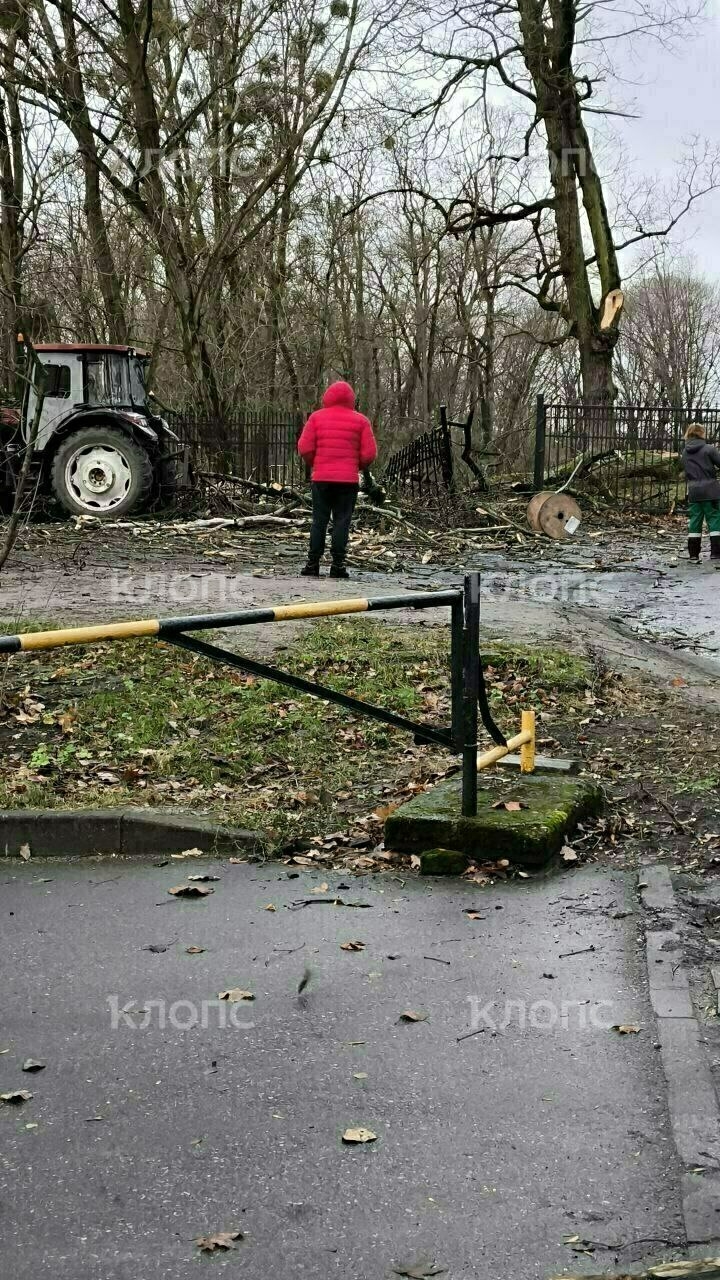Гаи борзова калининград