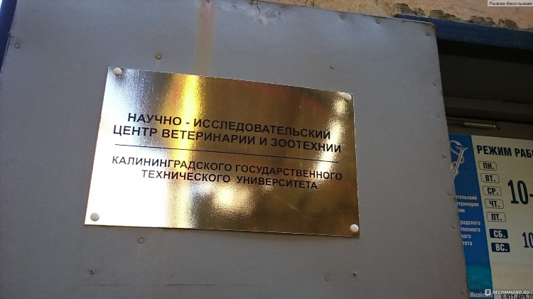 Государственная ветеринарная клиника в калининграде