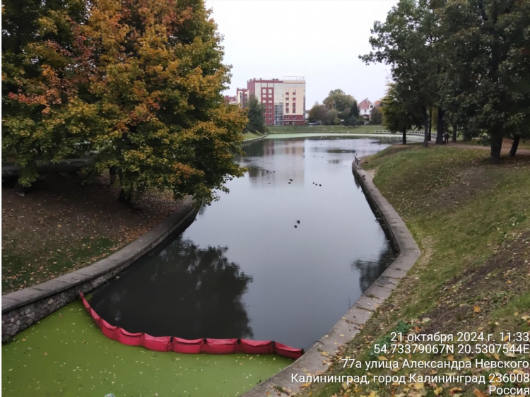 Грандводсервис калининград управляющая компания