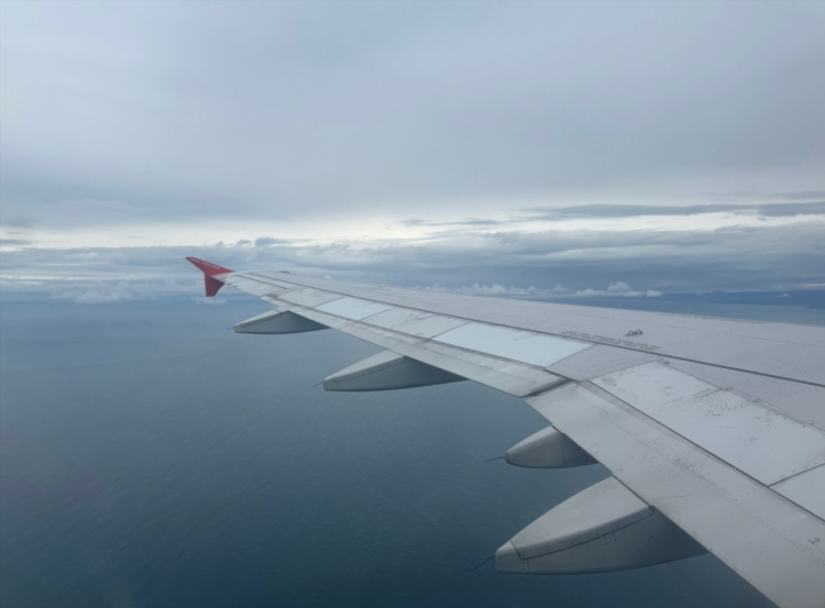 Калининград мурманск самолет