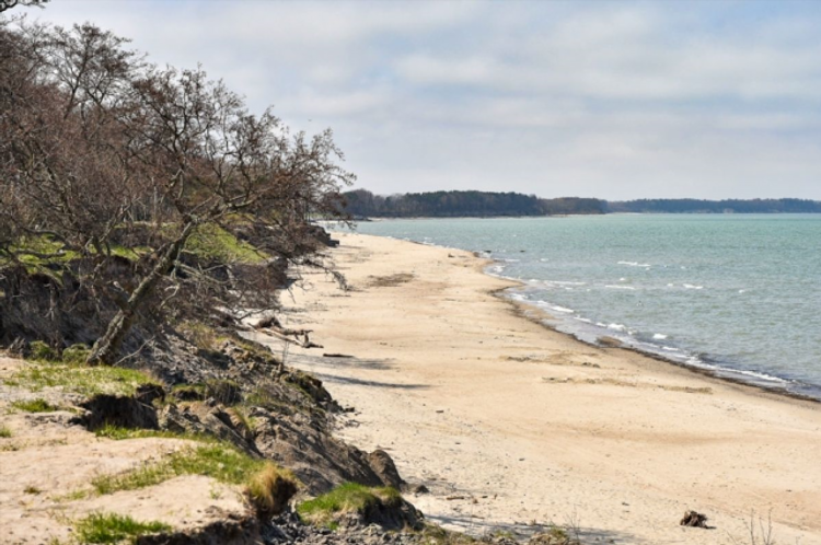 Калининград на берегу какого моря
