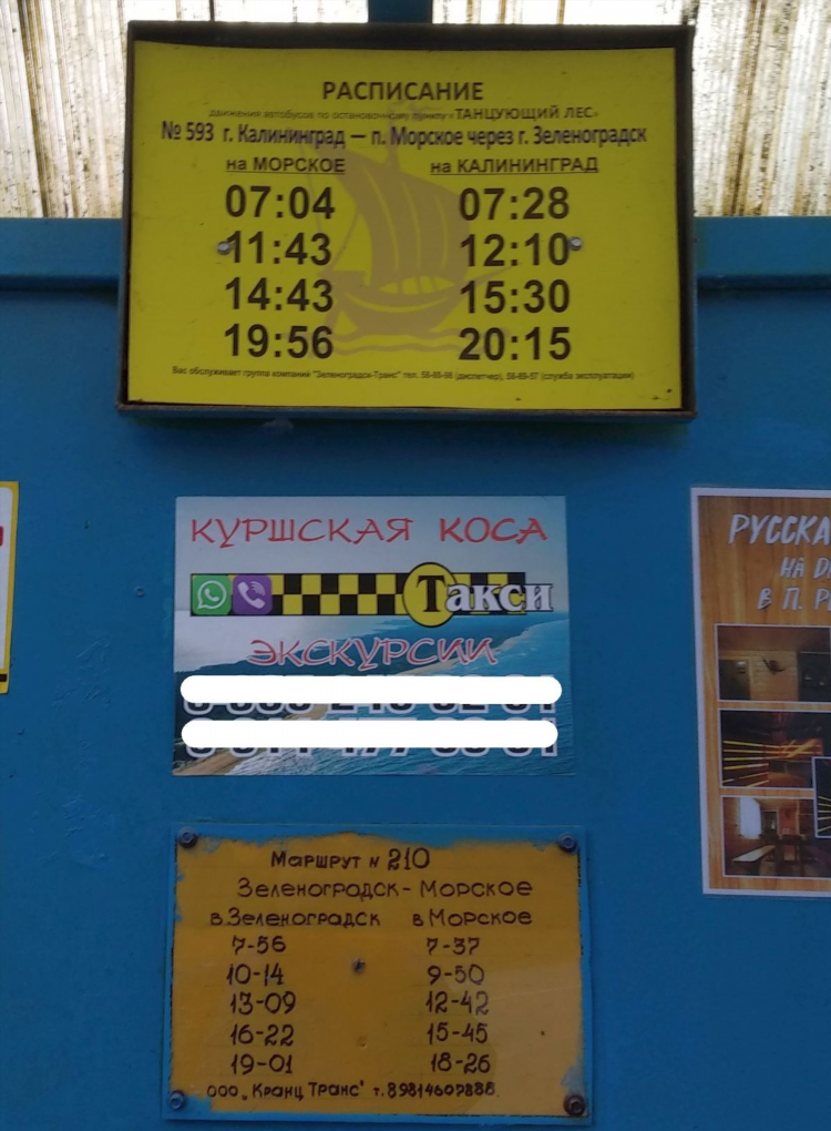 Калининград зеленоградск маршрут