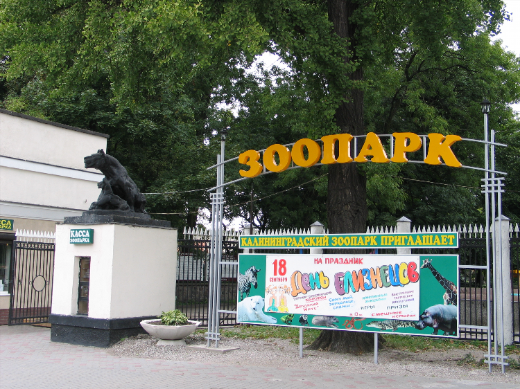 Калининград зоомагазины