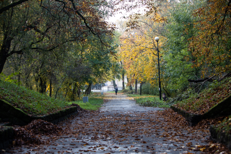 Кирка в калининграде