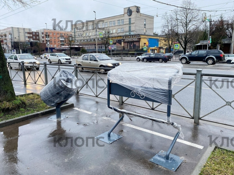 Клопс калининград новости