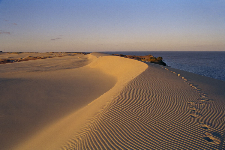 Коса в калининграде фото