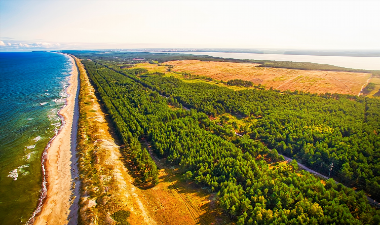 Куршская коса в калининграде фото