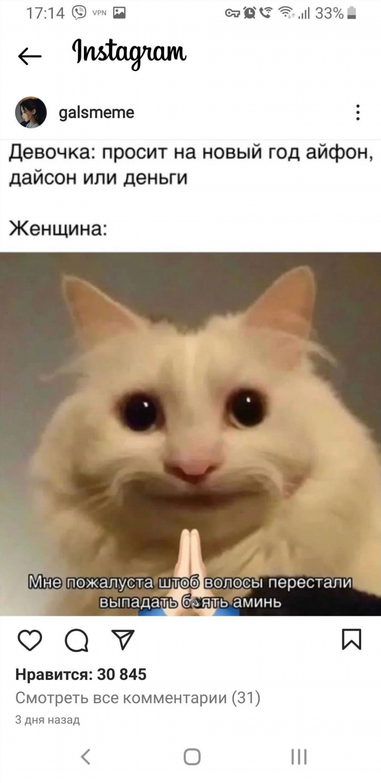 Магазин катико калининград