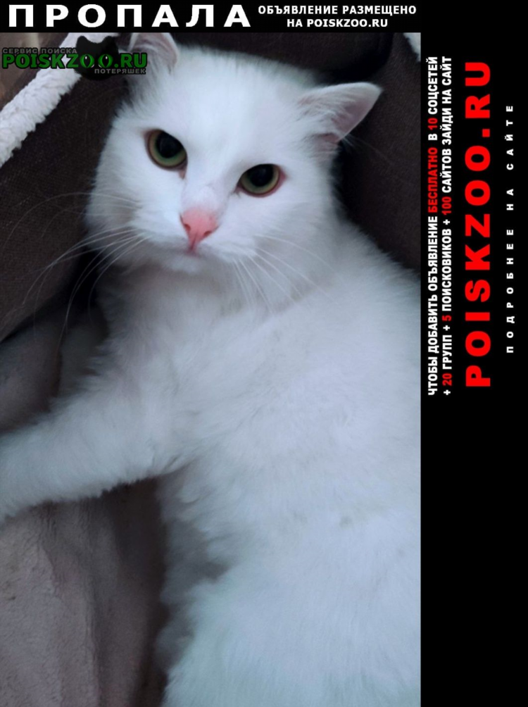 Октябрьская калининград