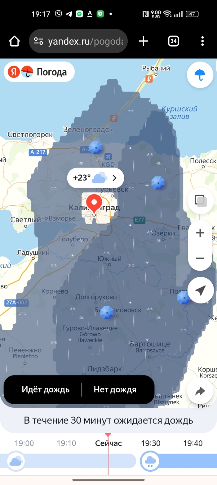Погода рп 5 калининград