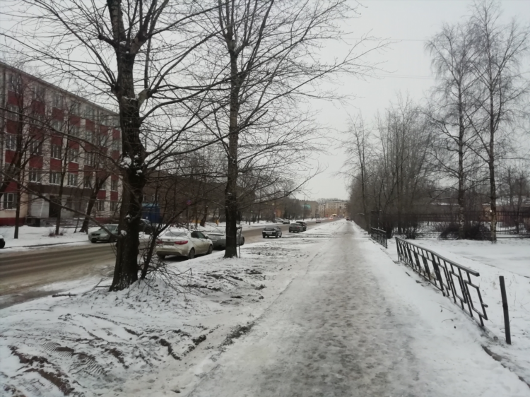 Погода в калининграде на 10 дней гисметео