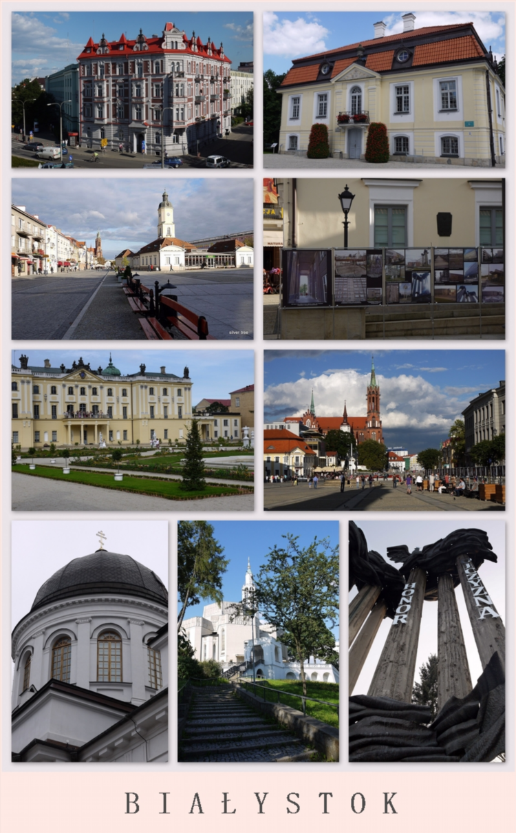 Погода в калининграде pl