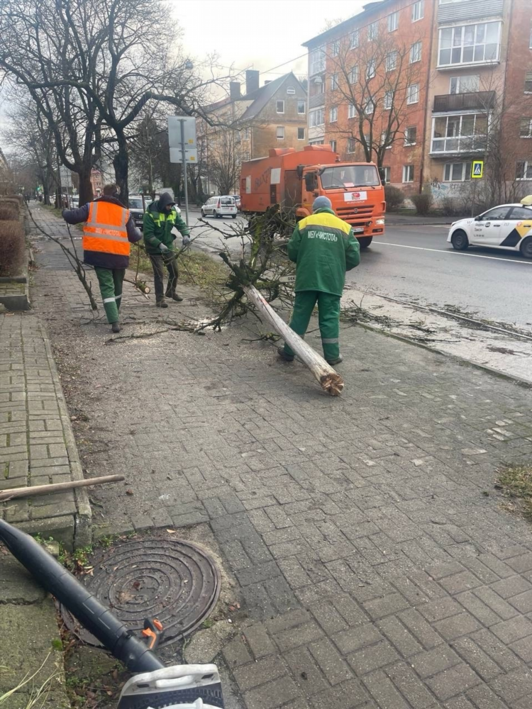 Погода в калининграде сегодня видео
