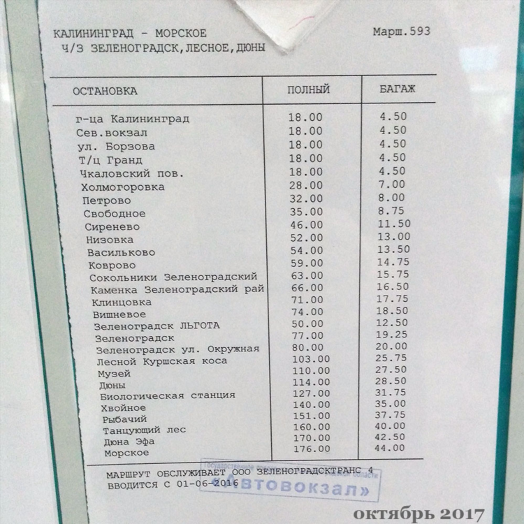 Расписание автобуса пионерский калининград