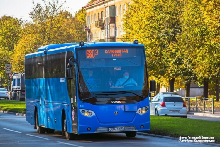 Расписание автобусов калининград 37