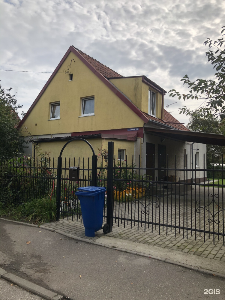 Розы люксембург калининград