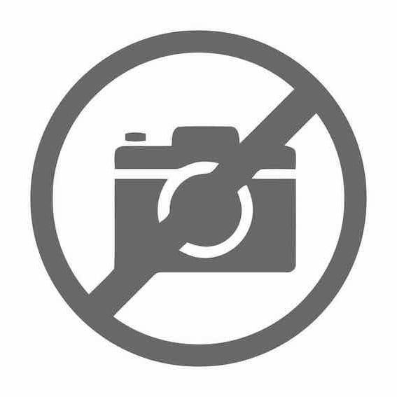 Розы оптом калининград