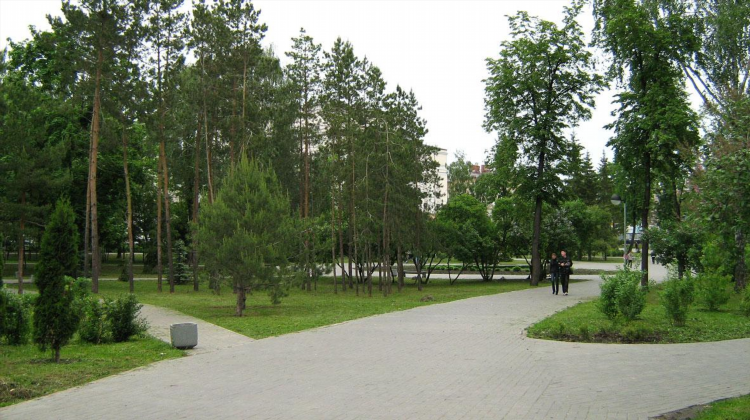 Садик 114 калининград