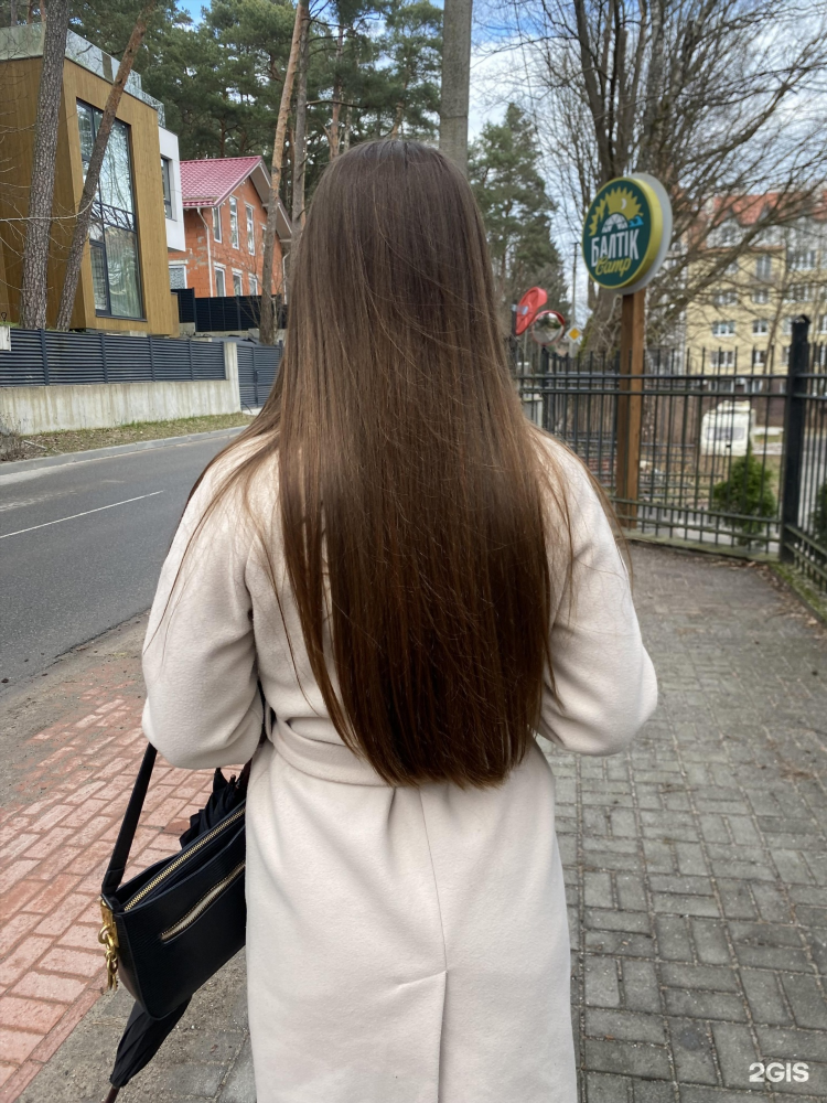 Шевелюра калининград челнокова