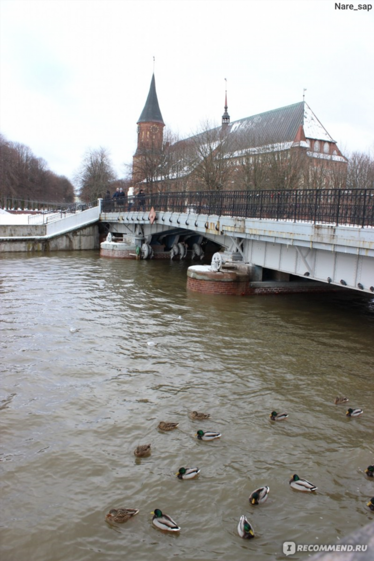 Сколько мостов в калининграде