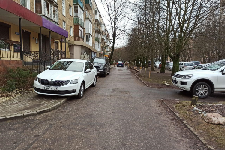Соммера калининград