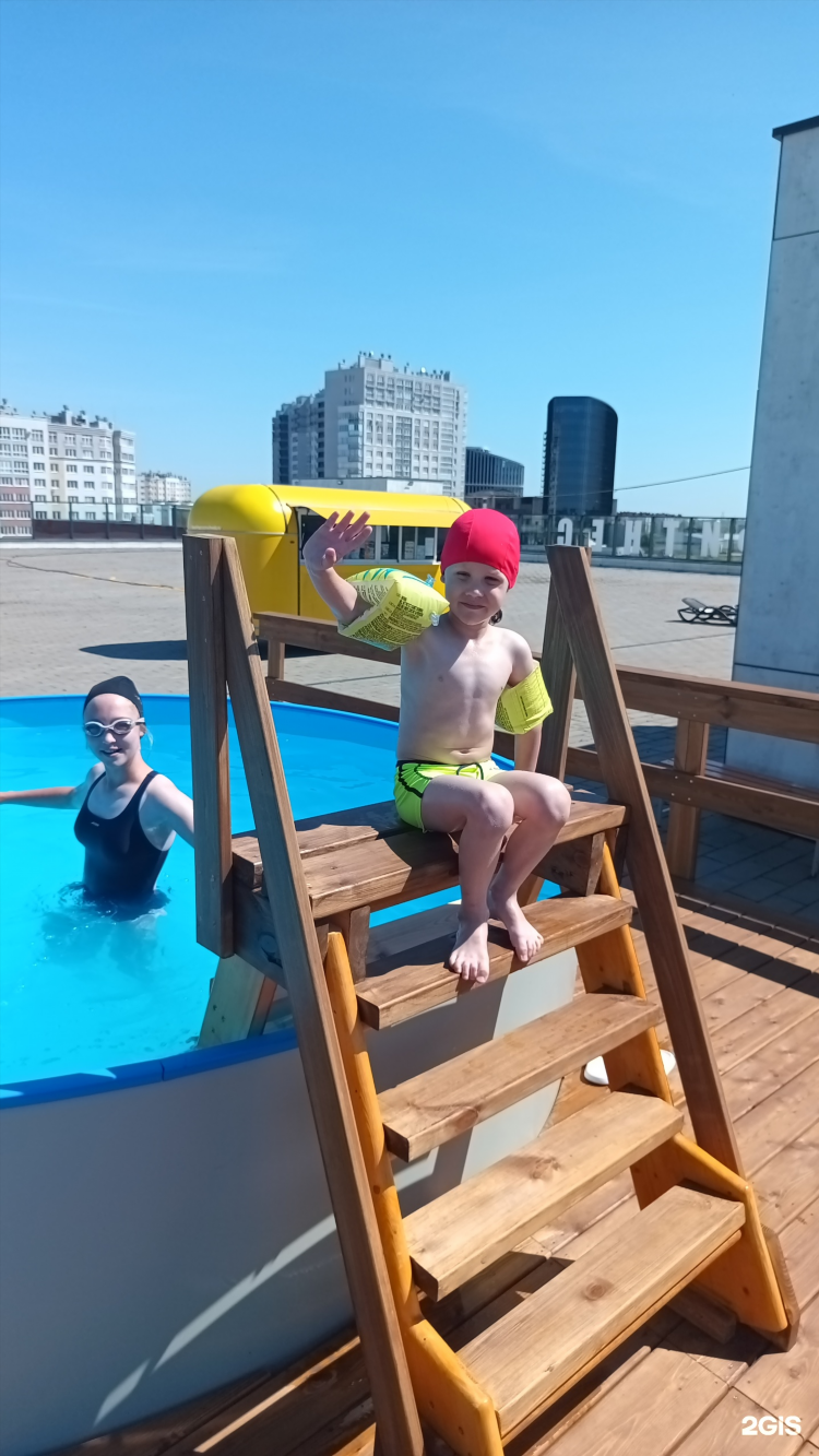 Спортивный клуб альбатрос калининград