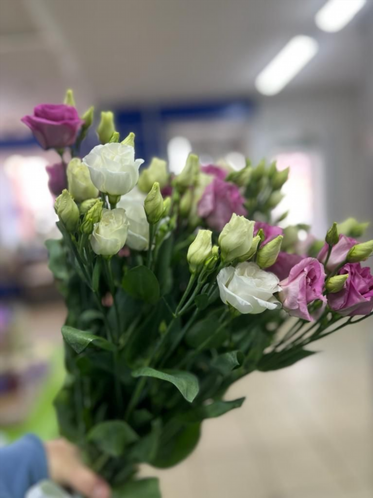 Цветы в калининграде цены