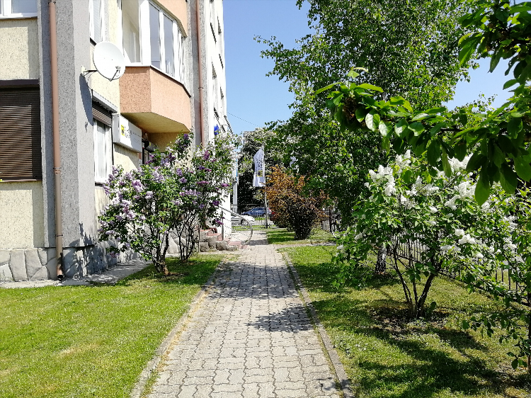 Ул пражская 1 калининград медэксперт