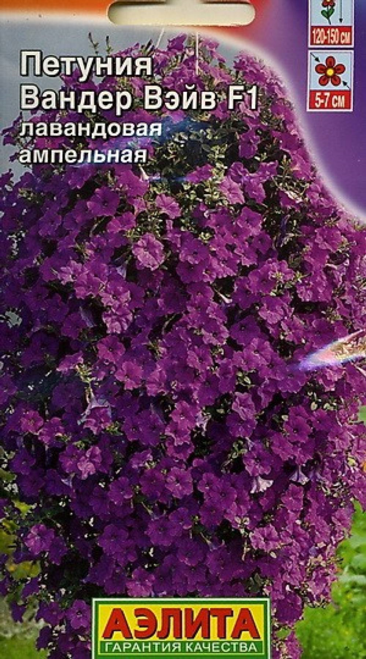 Вандеру интернет магазин калининград