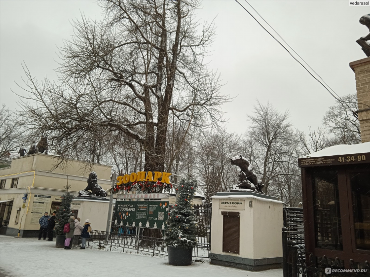 Вот это да калининград